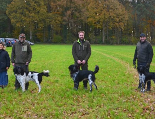Herbst-Zuchtschau 2021 in Stadtlohn