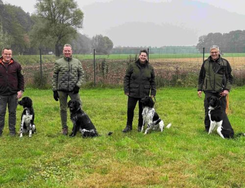 Herbst-Zuchtschau in Borken