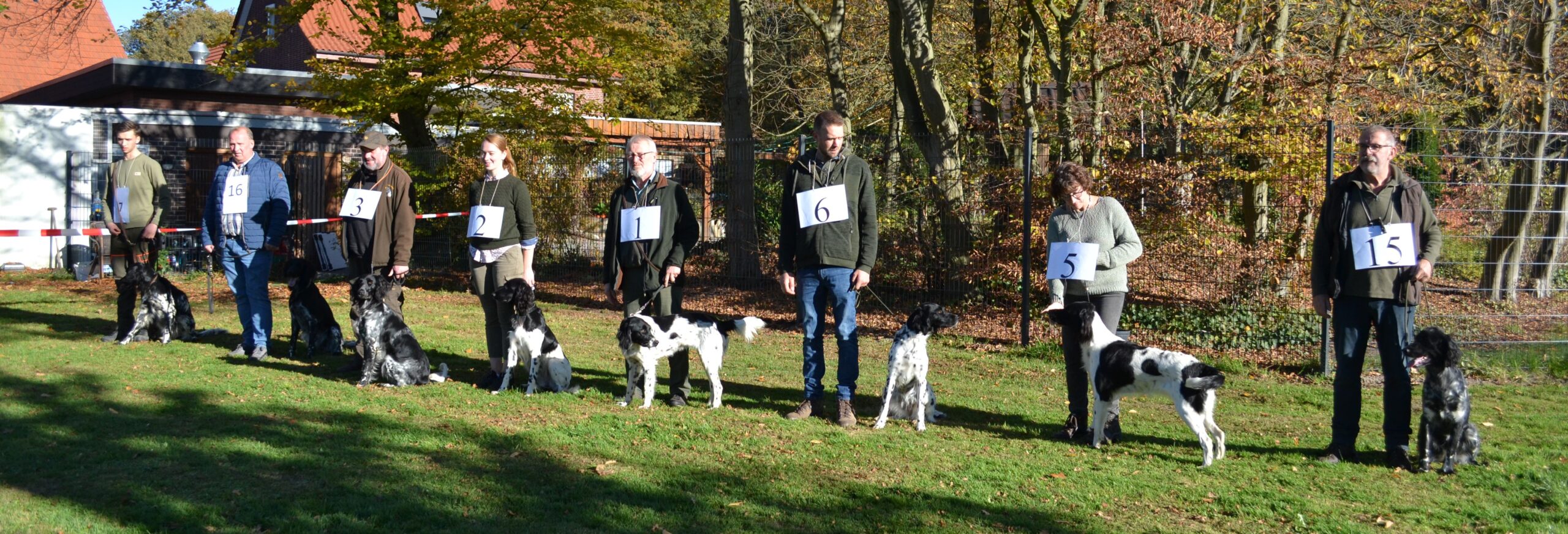 DSC_0998_schmal In der Jugendklasse Hündinnen wurden zwei GM vorgestellt. Es siegte Juna vom Barler Berg (sg/v) mit Jürgen Kötter (l.) vor Cora von Mehringen (sg/sg), die von Antonius Hesker (r.) vorgestellt wurde.