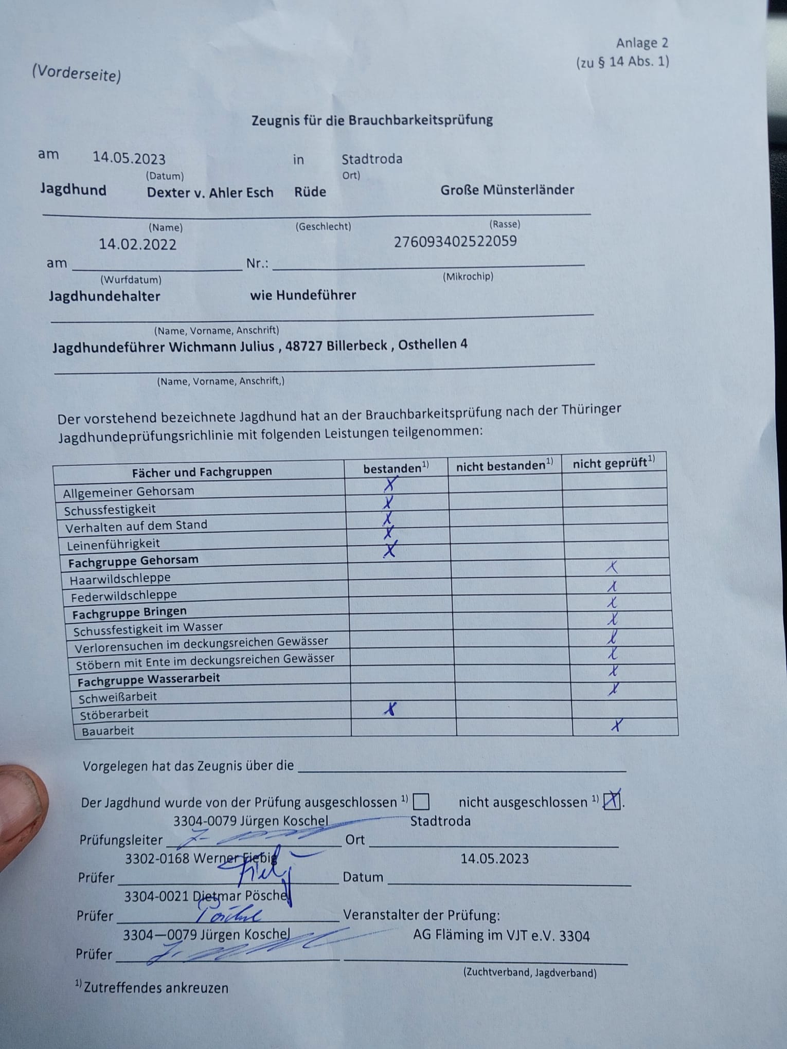 Dexter vom Ahler Esch BP-Zeugnis