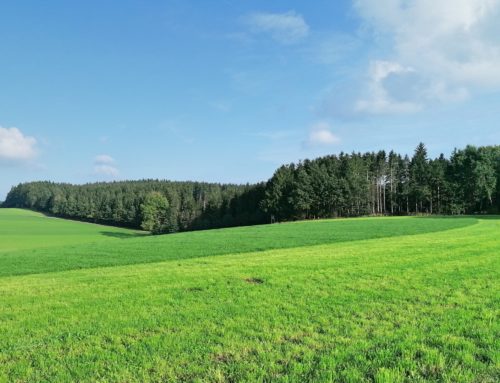 Bericht von der 73. Internationalen Vorm-Walde-HZP