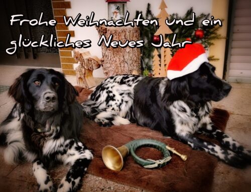 Frohe Weihnachten und einen guten Rutsch ins neue Jahr